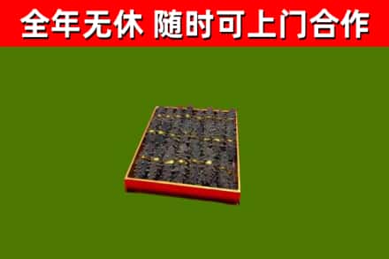 达日回收海参